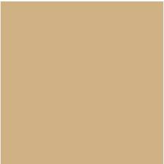 Vallejo Dark Sand