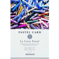 Sennelier Pastel Card A3