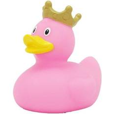 Duck with a Crown