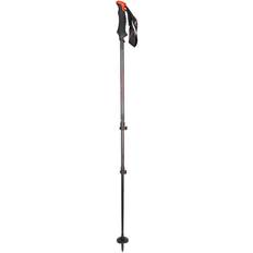 Senior Downhill Ski Poles Salewa Carbonium Tour