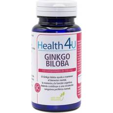 Ginkgo Ginkgo Biloba