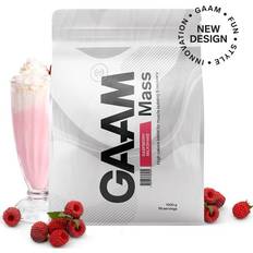 GAAM 100% MASS Premium, 1 kg, Gainer, Raspberry Milkshake