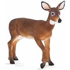 Deer doe Mojo White Tailed Deer Doe