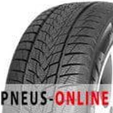 Minerva Frostrack UHP 215/65 R17 99V Pneus