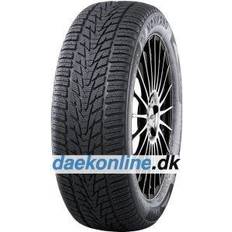 Nankang Däck Nankang Winter Activa 4 (225/40 R18 92V)