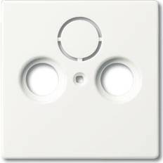 Tomas de Ethernet, Datos y Teléfono Busch-Jaeger Zentralscheibe stws mt 1743-884 2CKA001724A4293