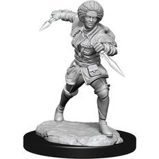 Jeux de Société Magic The Gathering Unpainted Miniature Kaya Case (6)