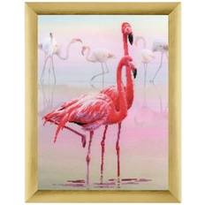 Riolis Flamingo