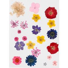 Creativ Company Tørrede blomster ass. farver, 1pk