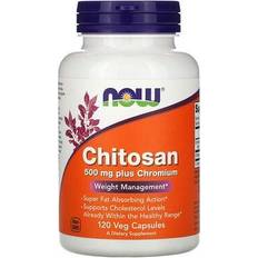 Vitamins & Supplements Now Foods Chitosan, 500mg Plus Chromium 120 vcaps