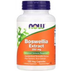 Now Foods Boswellia Extract 250 mg (120 Veg Caps) 120 stk