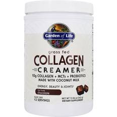 Garden of Life Collagen Creamer Chocolate 342g