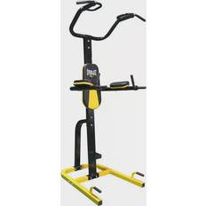 Everlast Pull Up trainer