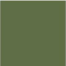 Vallejo olive Vallejo OLIVE GREEN *