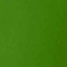 Water Resistant Acrylic Paints Liquitex Basics Acrylics Colors light green permanent 4 oz. tube