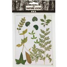 Groen Schets- en Tekenblokken Creativ Company Pressed leaves, green, 1 pack