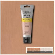 Winsor & Newton Galeria 2131257 Acrylic Paint, High Pigmentation, Non-fading, Butter Consistency, 120 ml Tube, Light Pink Rouge
