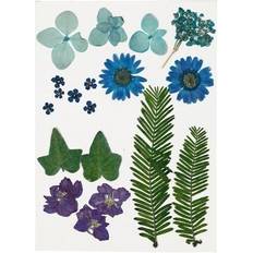 Blauw Doe-het-zelf Creativ Company Gedroogde Bloemen En Bladeren Blauw 19 Versch