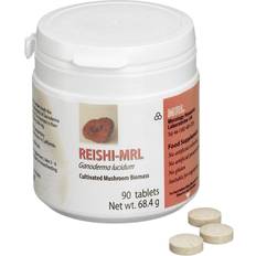 Reishi Atena Reishi-MRL 90's