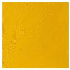 Gold Oil Paint Winsor & Newton Artists' Oil Colours cadmium yellow pale 118 37 ml