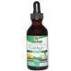 Nature's Answer Ginkgo Alcohol-Free 500 mg (60 ml)