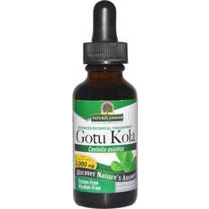 Vitamins & Supplements Nature's Answer Gotu Kola, Alcohol-Free (30 ml) –