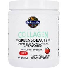 Greens superfood Garden of Life Collagen Greens Beauty Apple 266g