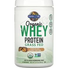 Organic whey protein Garden of Life Organic Grass Fed Whey Peanut Butter Chocolate 390g