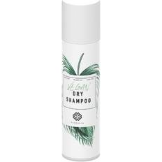 Vegan Dry Shampoo
