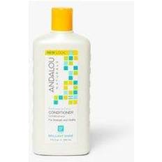 Andalou Naturals Sunflower & Citrus Brilliant Shine Conditioner