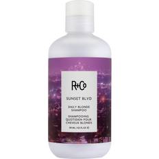 R+Co Shampoo Argento R+Co Sunset Blvd Daily Blonde Shampoo 241ml