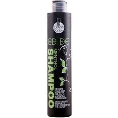 Hårprodukter Moisturizing Shampoo Cuidado Diario Alexandre Cosmetics 250ml