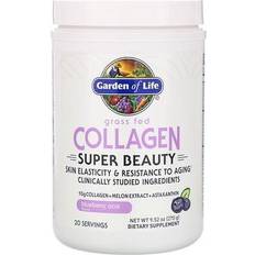 Arándano Vitaminas y Minerales Garden of Life Collagen Super Beauty Blueberry Acai 270g