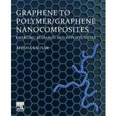 Graphene to Polymer/Graphene Nanocomposites (Hæftet)