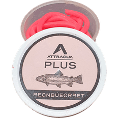 Attraqua Attraqua Fiskebete Regnbåge