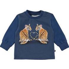 Tigere Sweatshirts Børnetøj Molo Eloy - Tiger Cubs (3S22A406 7681)