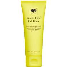 Gentle Face Exfoliator