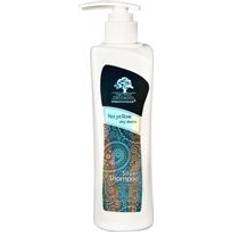 Silver Shampoo