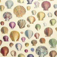 Designers Guild Tapeter Designers Guild Tapet Captain Thomas Brown's Shells Multi 52 cm x 10 m