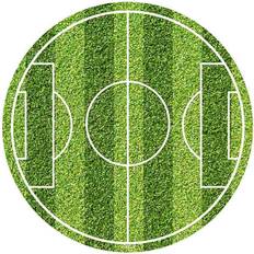 Tårtbild Fotbollsplan 20 cm