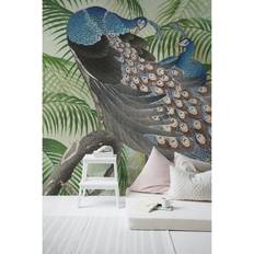 Peacock (112114)