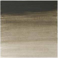 Grå Oliemaling Winsor & Newton Winsor Newton Artists Oil Col 200ML DAVY'S GRAY 217