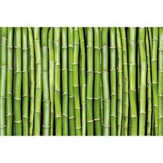 Tapeter Dimex FOTOTAPET EASY UP BAMBOO
