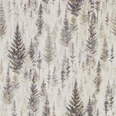 Sanderson Juniper Pine Elder Bark