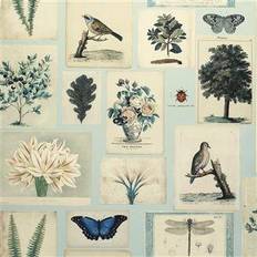 FLORA AND FAUNA CLOUD BLUE PJD6001/02