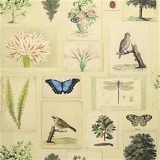 FLORA AND FAUNA PARCHMENT PJD6001/01