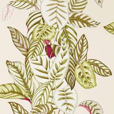 Sanderson Calathea Olive 216631