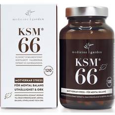 KSM66