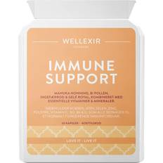 Wellexir Immune Support 60 stk