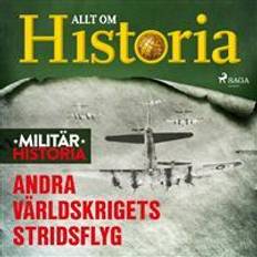 Geschichte & Archäologie Hörbücher Andra världskrigets stridsflyg (Hörbuch)